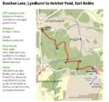 The new forest beechen lane to east boldre cycle route